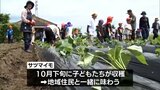 農作物への感謝の気持ちを　都城市で小学生と園児がサツマイモの苗植えを体験　|　MRTニュース ｜ ＭＲＴ宮崎放送