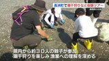 梅雨明けの休みを楽しむ!長洲町の魅力を知って!潮干狩りなどの産業体験ツアー | 熊本のニュース|RKK NEWS|RKK熊本放送