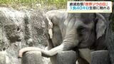 ゾウの魅力に触れる「世界ゾウの日」イベント 平川動物公園開催|TBS NEWS DIG