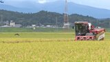 稲刈りは94％完了（15日時点）　平年より早いペースで進む　岩手|TBS NEWS DIG