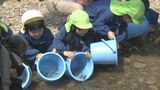 「ふるさとの川を美しく守る」子どもたちがアユの稚魚5000匹を放す|TBS NEWS DIG