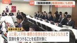どうすれば罰則？自民が国旗損壊罪の骨子案発表 SNS投稿も対象に　拘禁刑または罰金も　党内からは「過剰規制」の声|TBS NEWS DIG