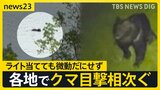 15日は青森・奈良でクマに人が襲われる　クマ目撃相次ぐ北海道…函館市ではハンターが行方不明　専門家「繁殖期の後半戦」「おなかのすいている季節の始まり」【news23】|TBS NEWS DIG