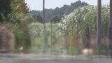 沖縄で少雨続く 宮古島は干ばつ対策で10日からサトウキビのかん水実施 | 沖縄のニュース|RBC 琉球放送