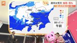 【3月15日 関東の天気】週末は荒天 強雨・雪も 日曜(16日)にかけて気温低下|TBS NEWS DIG