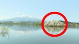 湖に今の時期だけ現れる“幻の白い島”　幻想的な景色の正体は…？|TBS NEWS DIG