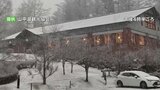 夕方から山梨県富士五湖の一部の地域で雪 積雪になるおそれも|TBS NEWS DIG