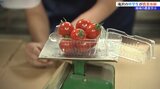岩手県滝沢市の中学生が農業体験 トマトの苗を植え、地域農業に親しむ|TBS NEWS DIG