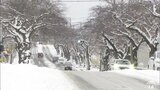 「こんなに降っていると思わなかった」積雪一時１６センチに　朝から雪かき「いい運動になっている」　|TBS NEWS DIG