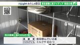 「防災倉庫に薬やミルクも」津波から避難にも時間が…危機感共有で住民からアイデア【わたしの防災】 | 静岡のニュース | SBSNEWS | 静岡放送
