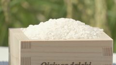 「向こう3か月」のコメ価格見通し 「高くなる」見方強い結果に| TBS CROSS DIG with Bloomberg