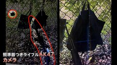 ゴルフコース脇から“銃口”トランプ氏また暗殺未遂か　容疑者「大いに失望させられた」| TBS CROSS DIG with Bloomberg