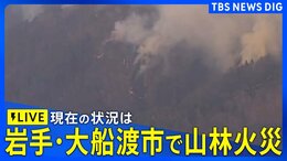 【ヘリライブ】岩手・大船渡市の山林火災 火の手は集落に迫る 現在の状況は(2025年3月3日)|TBS NEWS DIG