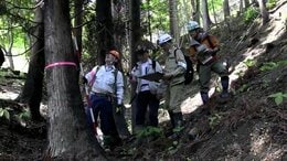 大船渡市の大規模山林火災被害額約98億円に　6割が森林被害　岩手|TBS NEWS DIG