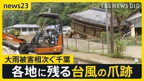 “ジェットコースターに倒木” 千葉各地で残る台風の爪痕　「急ピッチで復旧してるのに…」新たに台風26号が接近か【news23】|TBS NEWS DIG
