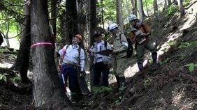 大船渡市の大規模山林火災被害額約98億円に　6割が森林被害　岩手|TBS NEWS DIG