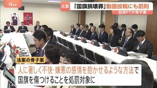 どうすれば罰則？自民が国旗損壊罪の骨子案発表 SNS投稿も対象に　拘禁刑または罰金も　党内からは「過剰規制」の声| TBS CROSS DIG with Bloomberg