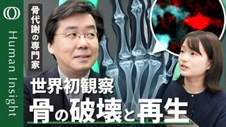 【生きた骨を最新技術で覗き見る】免疫や骨代謝が専門・石井優教授／骨の細胞は絶えず工事していた／支えるだけじゃなく全身を制御し免疫も担う骨／骨髄はおいしい？【Human Insight】| TBS CROSS DIG with Bloomberg