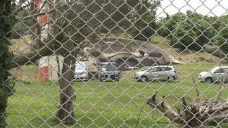 祖先の土地 返る日を願って　普天間基地の全面返還合意から30年【いまだ還らぬ普天間 ⑥】　|　沖縄のニュース｜RBC 琉球放送