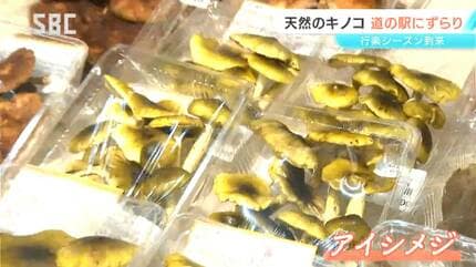 ご存じ？「コウタケ」「アイシメジ」「サクラシメジ」…長野市の道の駅