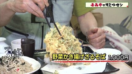 サクサク！」ジャンボサイズの野菜かき揚げざるそば 酒店のお宝看板と