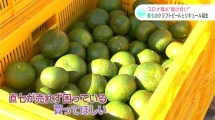 幻のかんきつ「直七」を使ったクラフトビールとリキュール誕生
