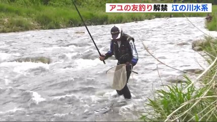 【中古】 アユと江の川 江の川水系 アユの友釣り シーズンはじまる 広島 | RCC NEWS | 広島