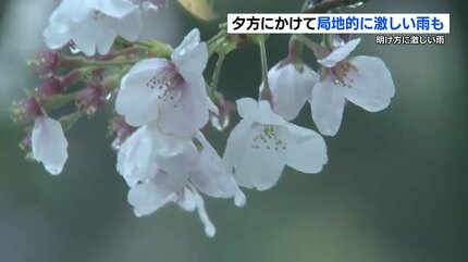 夕方にかけて『局地的に雷を伴った激しい雨』 4日（木）正午までの雨量