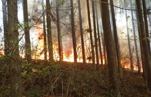 警報発令中のたき火や火遊びで罰金のケースも　林野火災の注意報と警報の運用がスタート　頻発する大規模な山火事予防へ注意喚起　長野|TBS NEWS DIG