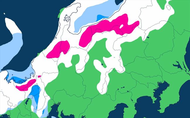 【大雪情報】関東地方北部50センチ、甲信地方60センチの予想(多い所) 積雪や路面の凍結による交通障害に警戒 上空に氷点下30度以下の強い寒気 【いつ・どこで? 雪と雨のシミュレーション】|TBS NEWS DIG