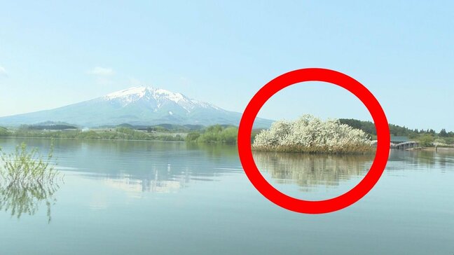 湖に今の時期だけ現れる“幻の白い島” 幻想的な景色の正体は…?|TBS NEWS DIG
