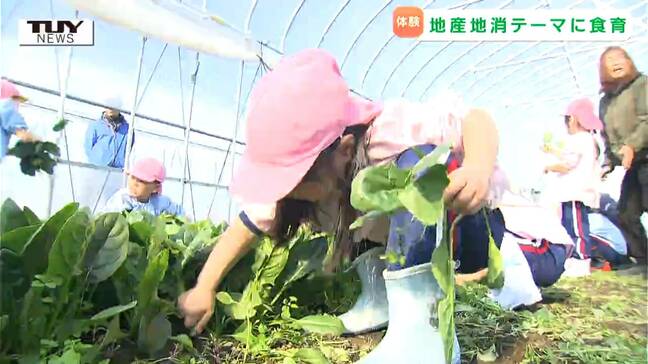 「ほうれん草とったどー!」子どもたちが元気いっぱいに "ほうれん草" を収穫! 食に親しみを!(山形)|TBS NEWS DIG