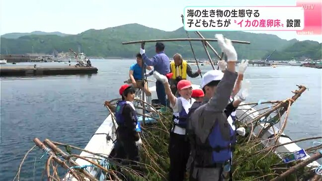 海の生き物の生態守る 子どもたちが“イカの産卵床”設置|TBS NEWS DIG