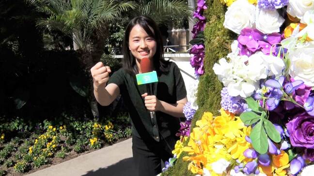 【競馬・天皇賞（秋）】東大卒・篠原梨菜アナウンサーがデータで予想 ！本命はメイショウタバル|TBS NEWS DIG