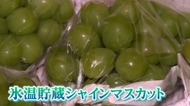 “氷温されたシャインマスカット「冬姫」”　真冬でも旬の味わいが楽しめる　1年がかりで開発【岡山・津山市】|TBS NEWS DIG