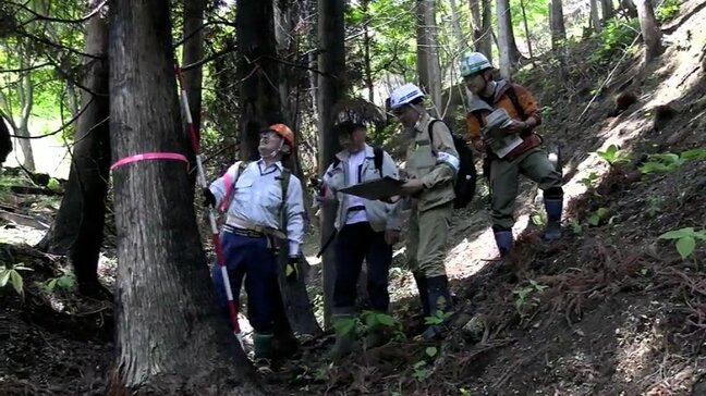 大船渡市の大規模山林火災被害額約98億円に　6割が森林被害　岩手|TBS NEWS DIG