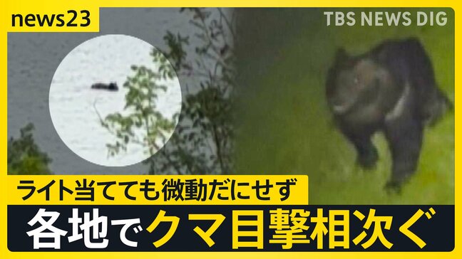 15日は青森・奈良でクマに人が襲われる　クマ目撃相次ぐ北海道…函館市ではハンターが行方不明　専門家「繁殖期の後半戦」「おなかのすいている季節の始まり」【news23】|TBS NEWS DIG
