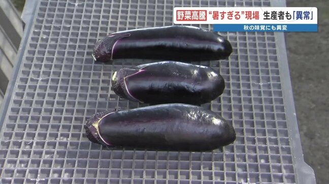 暑さ続きで野菜に異変　企業努力もある中で狙い目の野菜は…|TBS NEWS DIG