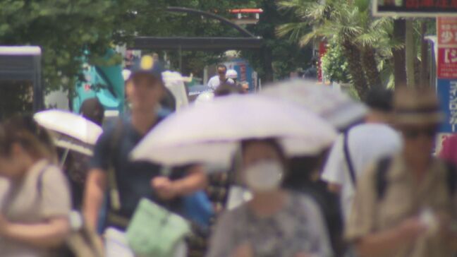 気象台　長期間の高温に注意を　鹿児島|TBS NEWS DIG