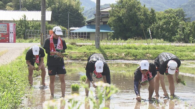 サッカーの練習後は田植え！？猛暑の中、J3福島ユナイテッドFC農業部が田んぼでハードワーク　福島　|　福島のニュース│TUF