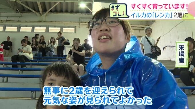 レンカを見に来た来場者