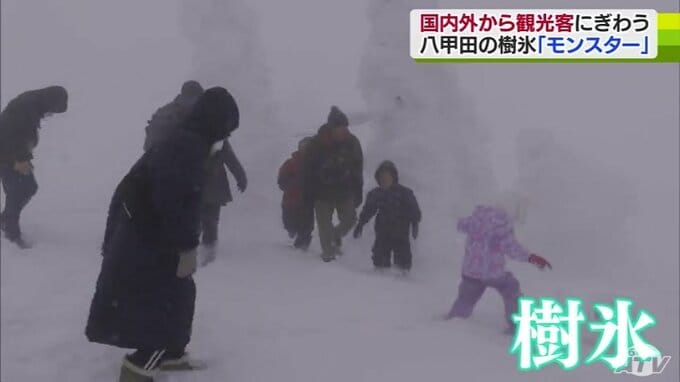 「アイスモンスター」八甲田の樹氷に海外からの観光客も驚き　連休最終日で観光地にぎわう　|　青森のニュース│ATV NEWS│青森テレビ