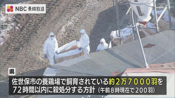 長崎県内で初のニワトリ殺処分2万7,000羽 鳥インフル遺伝子検査『陽性』で　|　長崎のニュース | 天気 | NBC長崎放送