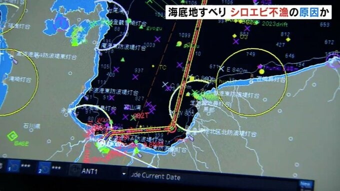 シロエビ不漁の原因？海底に１５センチの堆積物　地震による海底地すべりの影響か　富大などの調査で判明|TBS NEWS DIG