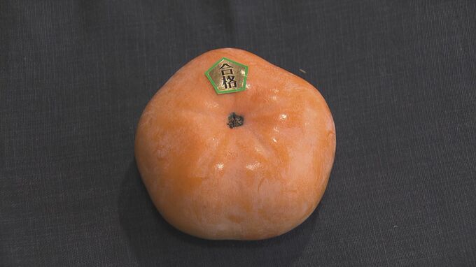 “五角”で“合格”  縁起の良い「合格次郎柿」で受験生応援 「もう合格したようなものですね」 ごくまれにできる珍しい形|TBS NEWS DIG