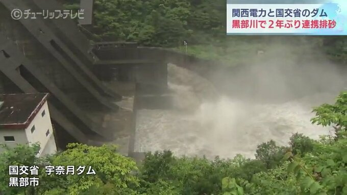 黒部川の2つのダムで連携排砂始まる　出し平ダムにたまった土砂35万トン目標に下流へ排出中　富山・黒部市|TBS NEWS DIG