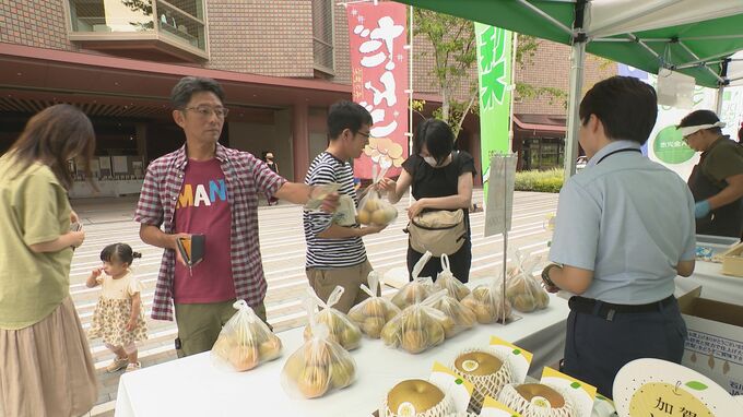 図書館で果物を販売 県内産食材の魅力発信“ビブリオマルシェ” 食を学ぶ「食べ物本棚」も　|　石川県のニュース｜MRO北陸放送