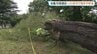 最大瞬間風速25.8メートル、台風15号の強風　いわき市で倒木や停電3400戸　福島　|　福島のニュース│TUF