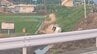 【速報】熊本市東区で水難事故「用水路に車が転落」　運転手は自力で脱出　けがなし　|　熊本のニュース｜RKK NEWS｜RKK熊本放送