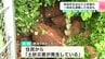 五台山の住宅地で土砂崩れ　避難した人も…今後は「土砂崩れの可能性は低い」山の斜面が幅約4ｍ、高さ約8ｍにわたって崩れる【高知】　|　高知のニュース・天気｜KUTV NEWS | KUTVテレビ高知